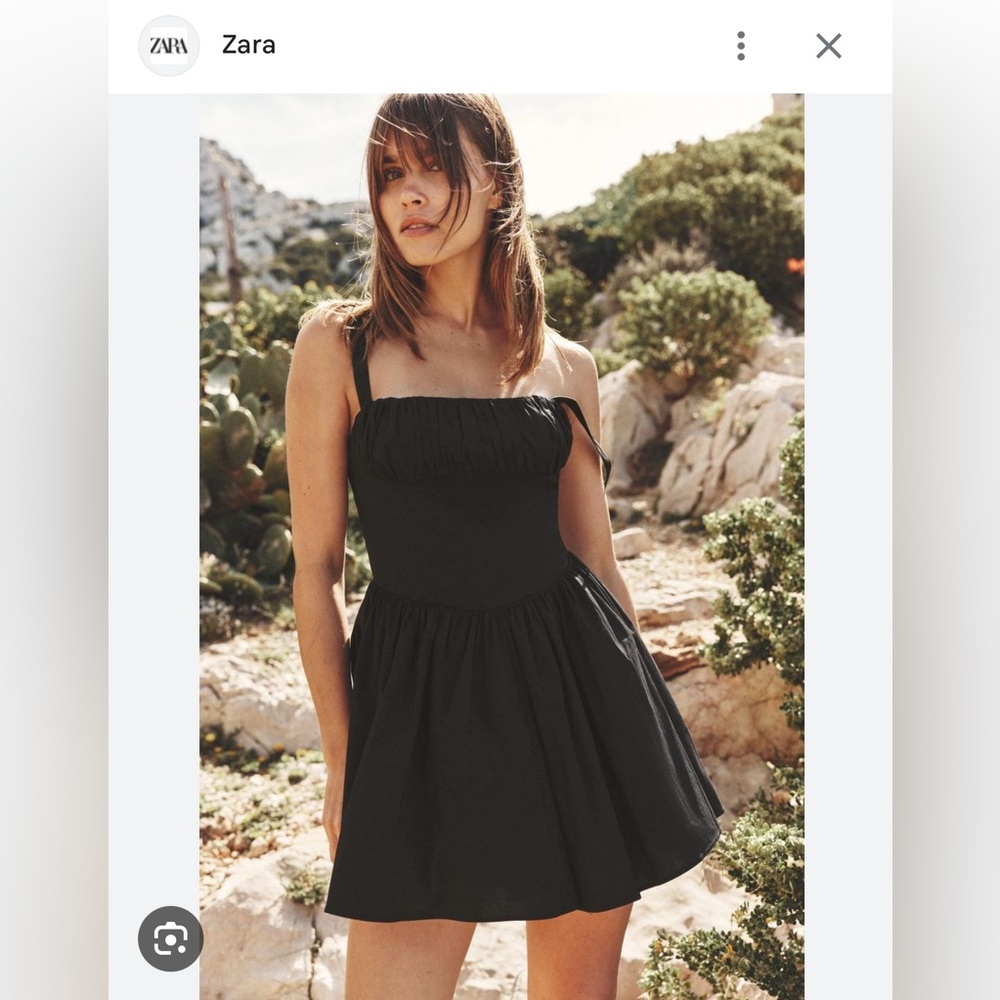 Zara dress with full skirt